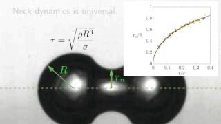 Diffusivelygrowing gas bubble coalescence [upl. by Ramedlab]