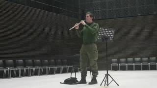 Légère Oboe Reed Test Tchaikovsky 4th Symphony solo [upl. by Roanne]