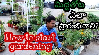 మిద్దెతోటని ఎలా మొదలు పెడితే బాగుంటుంది How to start terrace gardening [upl. by Ahseit]