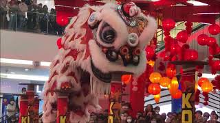 2023 Barongsai Lion Dance Senayan City Mall Jakarta Indonesia [upl. by Serafina]