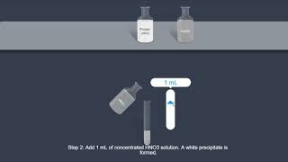 Protein  Xanthoproteic test [upl. by Aihsat]