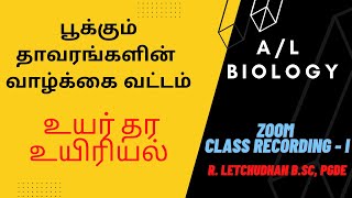 பூக்கும் தாவரங்களின் வாழ்க்கை வட்டம்  I Anthophyta Life Cycle Part Iஉயர்தர உயிரியல் AL BIOLOGY [upl. by Massimo907]