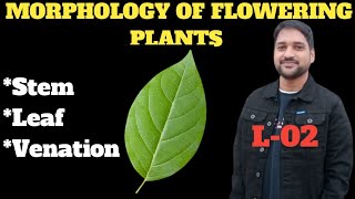 Morphology Of Flowering Plants Class 11L02Stem leafVenationShadab sir [upl. by Benia]