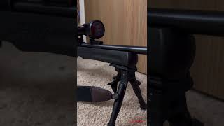 Rossi Rimfire Rifle 22LR [upl. by Sew]