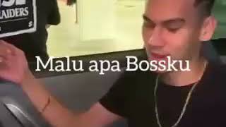 Mk  MALU APA BOSSKU lirik [upl. by Alasteir]