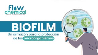 BIOFILMS BACTERIANOS ¿Por qué nos deberían importar [upl. by Nimesh328]