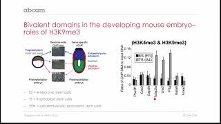 Regulation of Bivalent Domains by Histone Modifications [upl. by Saucy]