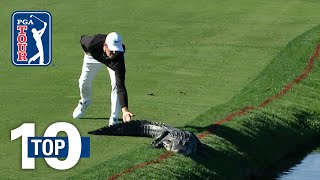 Top 10 Animal Encounters on the PGA TOUR [upl. by Ajssatsan]