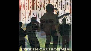 The 13Th Floor Elevators  Live in California 1966 Full Album [upl. by Paz]