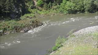 quotThe Klamath River Catches Salmonquot [upl. by Kinata]