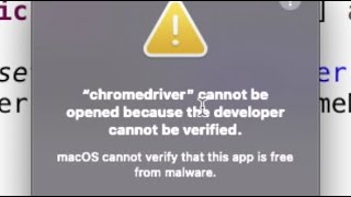 How to Fix ChromeDriver Cannot Be Opened Because of Unknown Developer Problem with Selenium Java [upl. by Zerk]