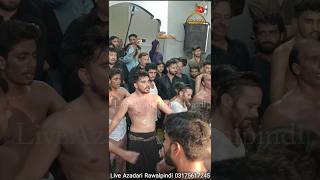 Wilayat Ali Syed Ada Party  New Kalam 2024  Geo Shah Matam  newnoha2024 reels shorts [upl. by Nicolau481]