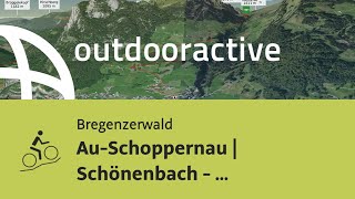 Mountainbiketour im Bregenzerwald AuSchoppernau  Schönenbach  Schreiberesattel [upl. by Hasen305]