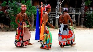 Dayak village in the middle of Kalimantan Borneo Indonesia Traditional dance and music video [upl. by Ecraep]