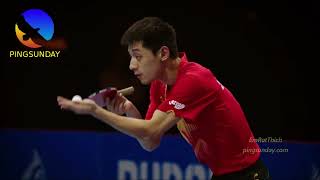 Zhang Jike equipment and playing style [upl. by Bred]