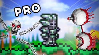 I Finally Became a Terraria Pro [upl. by Purdy]