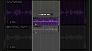 Sony C800 vs Telefunken 251  Mic Comparison [upl. by Ynohtnacram774]