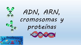 ADN ARN cromosomas y proteínas [upl. by Rannug]