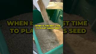 When is the best time to plant grass seed shorts [upl. by Eirolam]