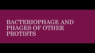 Virus Bacteriophage and phages of other protists [upl. by Alphonsa687]