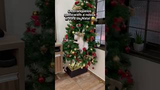 OS GATOS QUEBRARAM NOSSA ÁRVORE DE NATAL😭🎄 gato gatos gatinho gatinhos gatosfofos gatobranco [upl. by Notsnorb]