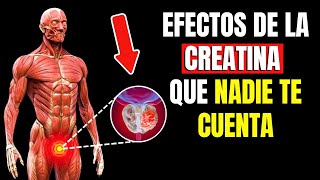 8 Errores que NUNCA DEBES COMETER al tomar CREATINA  Suplemento  CUERPO MUSCULOSO [upl. by Micaela]