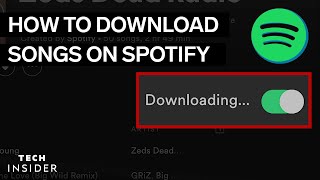 How To Download Music From Spotify 2022 [upl. by Schnabel]