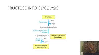 Biochemistry SimplifiedFructoseANDGalactoseintoGlycolysis [upl. by Anaihs]