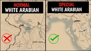 One amp Only Special White Arabian Horse That 99 Players Missed  RDR2 [upl. by Acinorrev306]