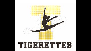 TIGERETTE skills video [upl. by Lea]