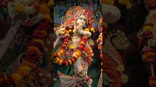 Shri Krishna Bhakti Songs l Suno Krishna Pyaare Swati Mishra Song l Krishna Bhajans In Temples Vlogs [upl. by Einapets651]