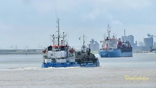 Trailing suction hopper dredges on River Ems Saugbagger HEGEMANN IV and JOSEF MOEBIUS [upl. by Encratis]