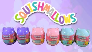 Phillip amp Wadsworths Origin Video  Squishville Squishmallows Series 20  Adult Collector Review [upl. by Frymire]