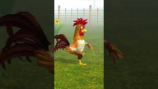 EL gallo Bartolito bailando en la granja [upl. by Nnyleimaj5]