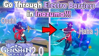 How to go through an Electro Barrier in Inazuma  Genshin Impact 20 Thunder Barrier [upl. by Revned]