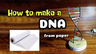 How To Make A DNA Model from paper dna [upl. by Gnes]