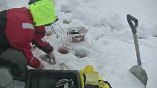 Pimpla regnbåge ice fishing rainbow [upl. by Elletsirk]