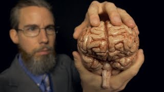 Massaging Your Brain with Professor Clemmons  ASMR [upl. by Anivlac]