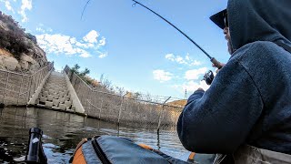 Throwing Flukes For Early Fall Bass [upl. by Sacken]