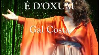 GAL COSTA É DOXUM [upl. by Proudlove]