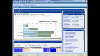 Deltek Vision Performance Management [upl. by Nivrad]