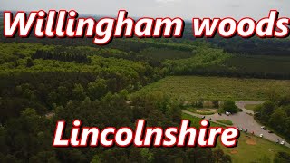 Willingham woods Lincolnshire [upl. by Imhsar]