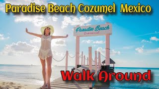 Paradise Beach Cozumel Mexico Walk Around Tour 2024 [upl. by Sinnod]