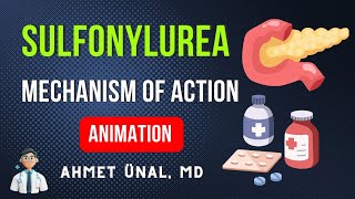 🎬 SULFONYLUREAS MECHANISM OF ACTION ON BETA CELLS  MNEMONIC ANIMATION [upl. by Sisxela]