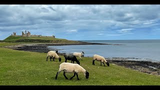 Craster and Amble Northumberland [upl. by Ahsa]