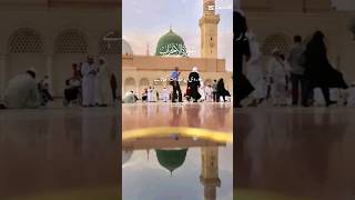 Voice from Heart Beautiful Quran Recitation by Sheikh Ahmed Mokhtar  beautifulquranrecitation [upl. by Katushka]