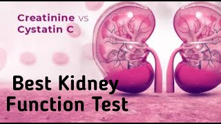 Cystatin C test in hindi I gfr test in hindi I gfr with cystatin c [upl. by Blumenthal]