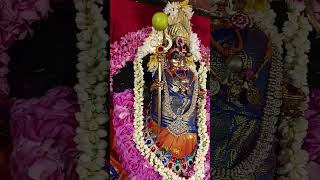 Sri Vana pechi Amman Sri Veera Bhadrakali Amman [upl. by Cathlene]