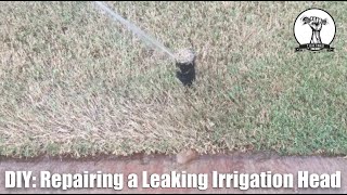 EASY Irrigation Sprinkler System Leak Repair [upl. by Nikal]