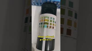 Protein in Urine  Urine Reagent Strip Dipstick urinetesting urinechemicaltesting mlt mls cls [upl. by Caffrey834]